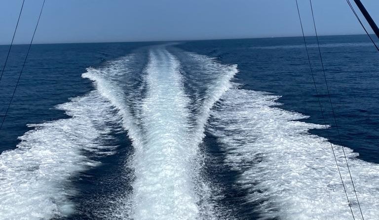 Boston Whaler 350 Outrage