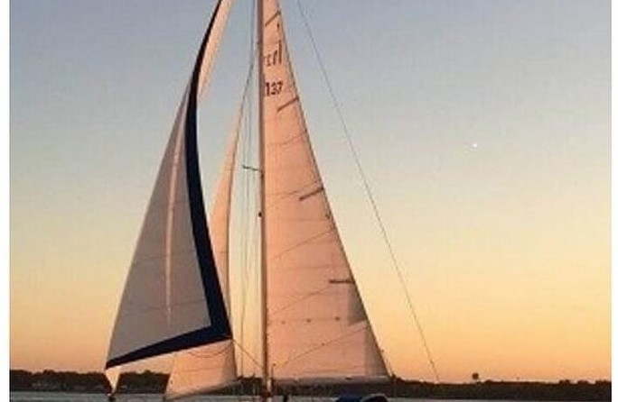 Marlow-Hunter cherubini 37