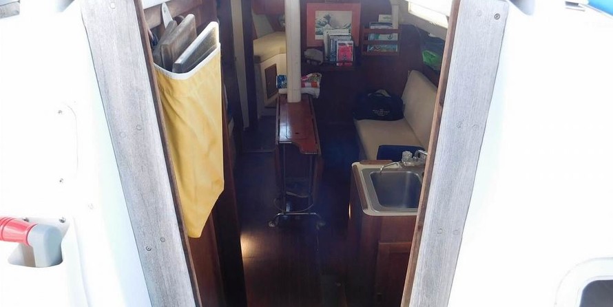 Marlow-Hunter cherubini 37