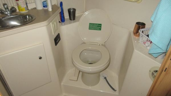 Carver 41 Cockpit Motor Yacht