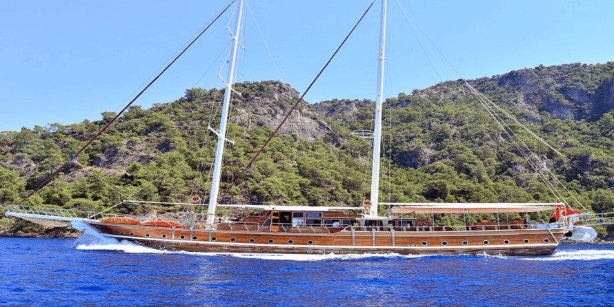 Gulet Deniz Felix Balina