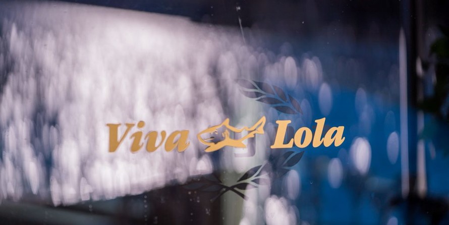 Motoryacht Viva Lola