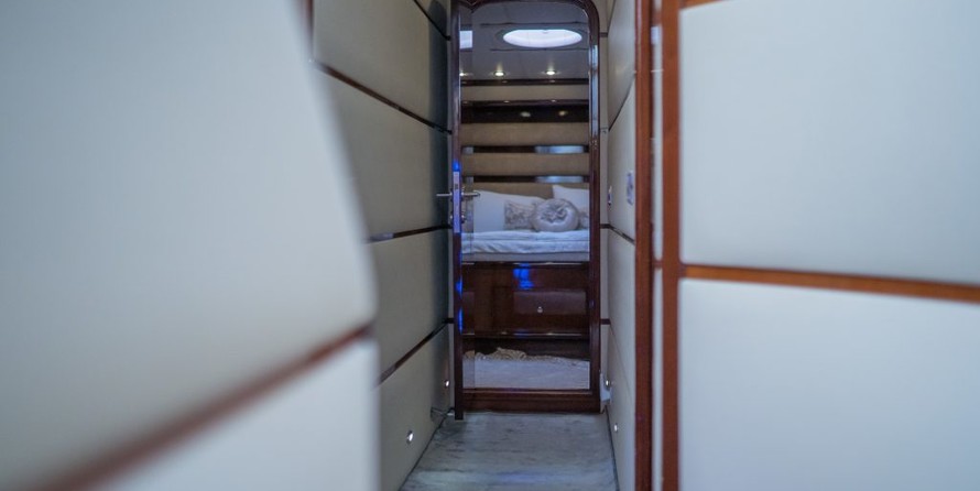 Motoryacht Viva Lola