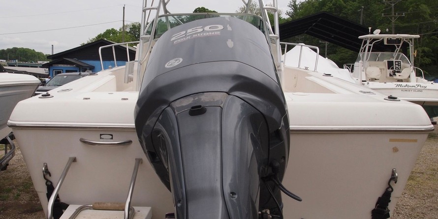 Pro-line 30 sport wa