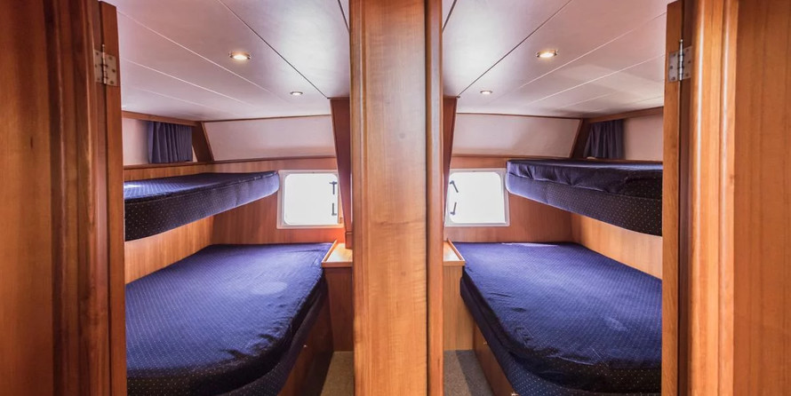 PedroLevanto 44 Typ 1