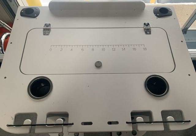 Sylvan 8520 Party Fish