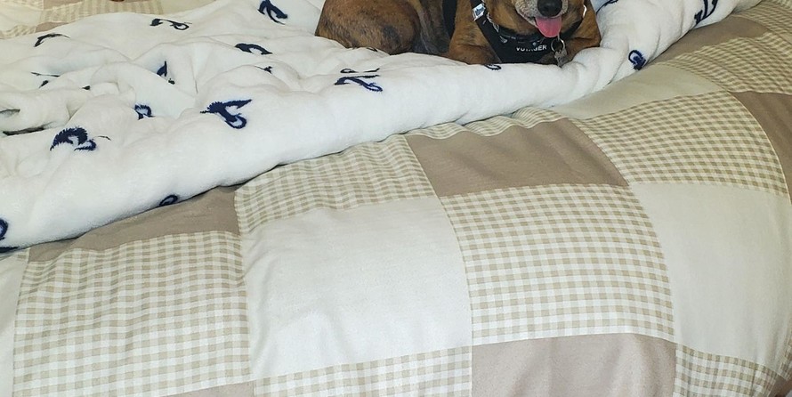 Tollycraft 34 sport sedan