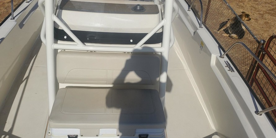 Boston Whaler 210 Montauk