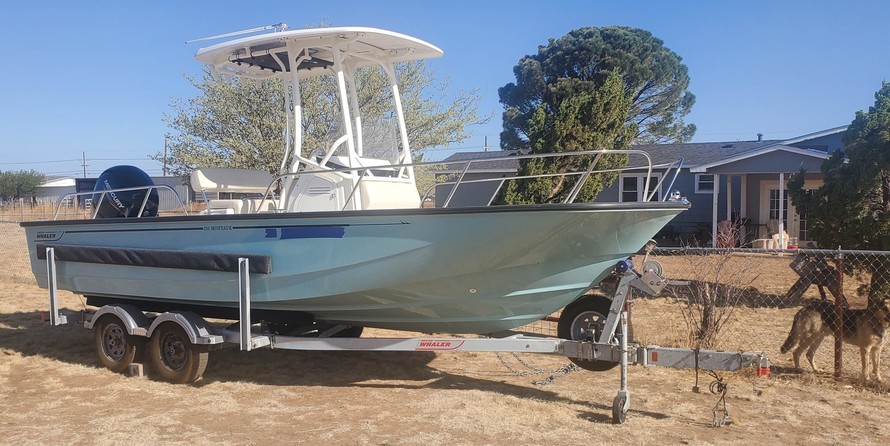 Boston Whaler 210 Montauk