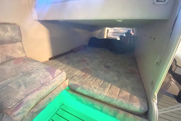 Chris-Craft Express Cruiser 360