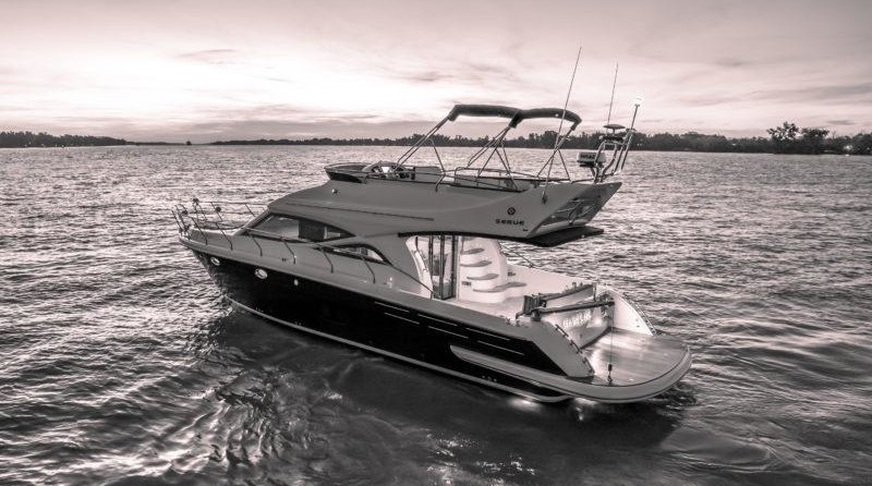 President president 46 flybridge