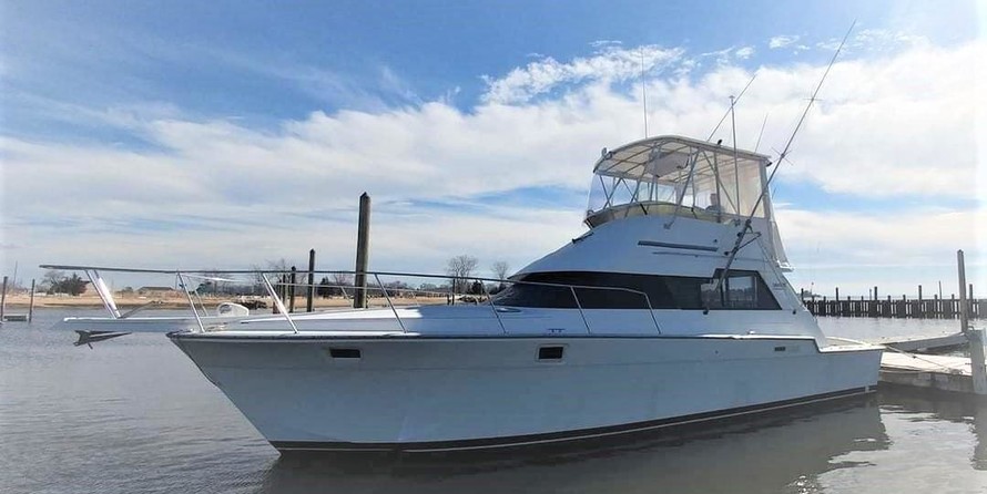 Luhrs Tournament 400 Sportfish