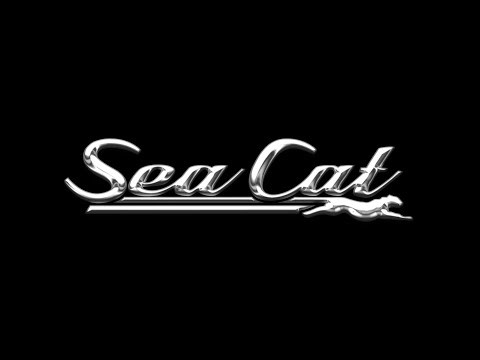 Sea Cat 260 HD
