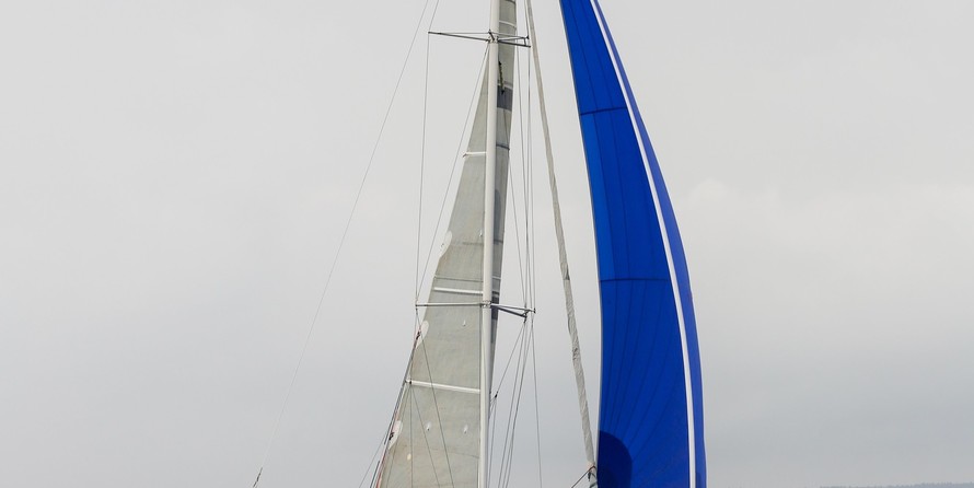 Dragonfly 35