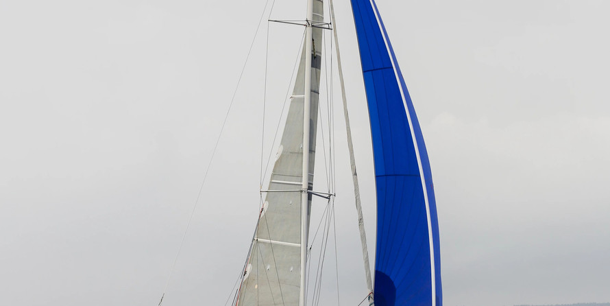 Dragonfly 35