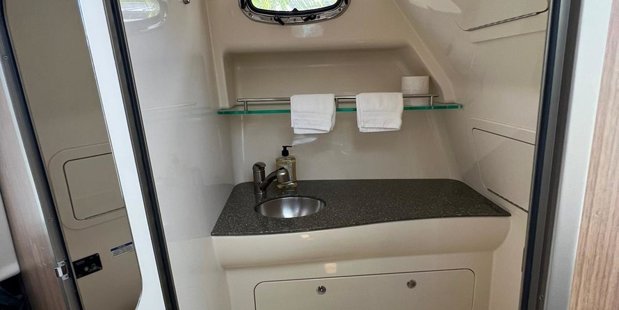 Boston Whaler 315 Conquest