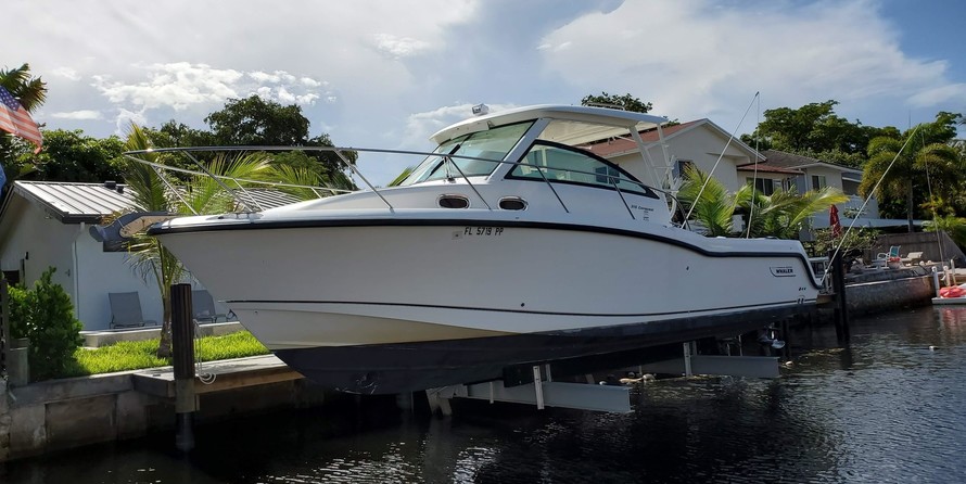 Boston Whaler 315 Conquest