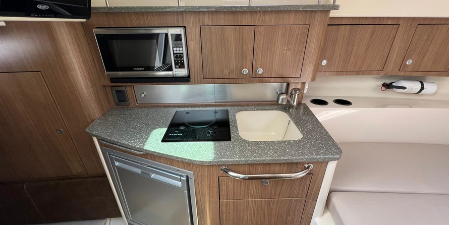 Boston Whaler 315 Conquest