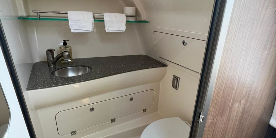 Boston Whaler 315 Conquest