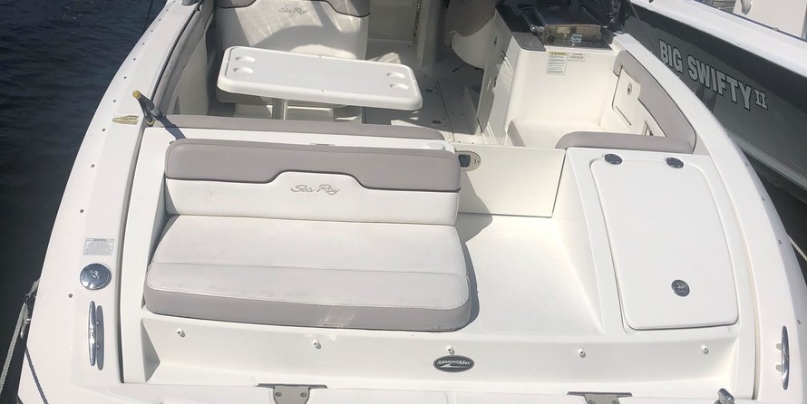 Sea Ray 300 Sundeck