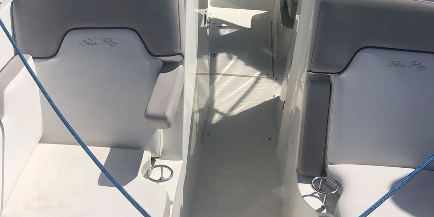 Sea Ray 300 Sundeck