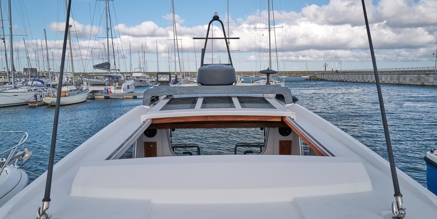 Sargo 31