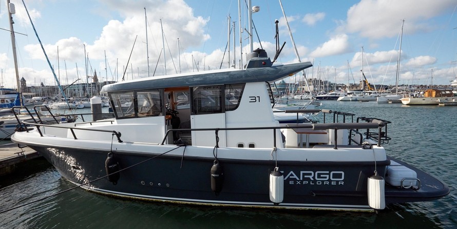 Sargo 31