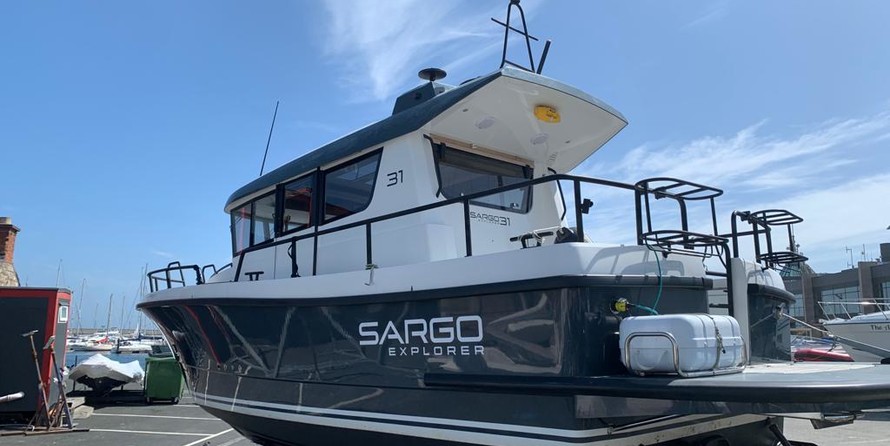 Sargo 31