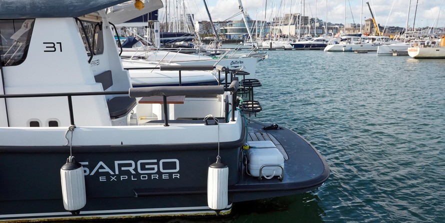 Sargo 31