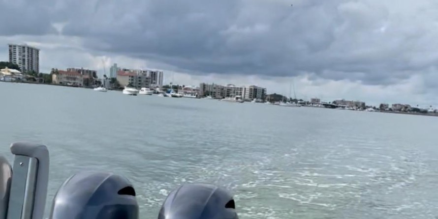 Wellcraft 242 Fisherman