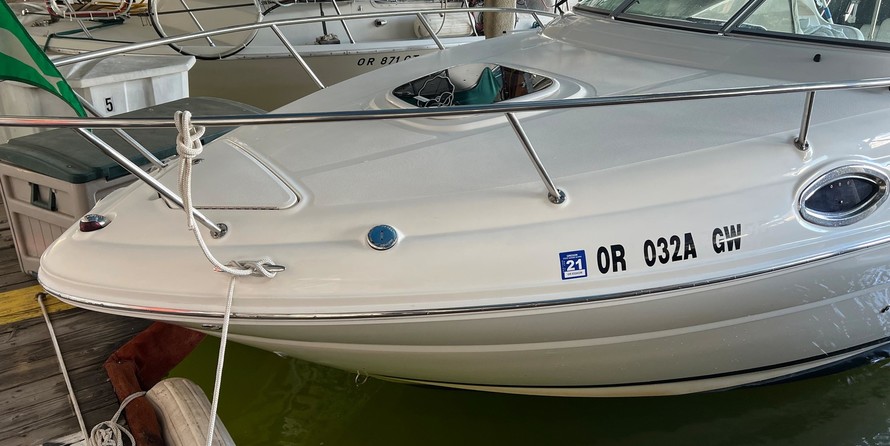 Sea Ray 240 Sundancer