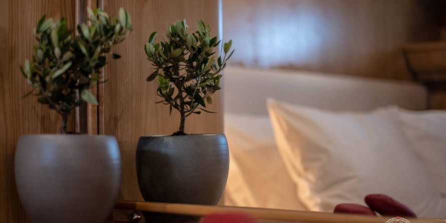 Canados 88 Evolution