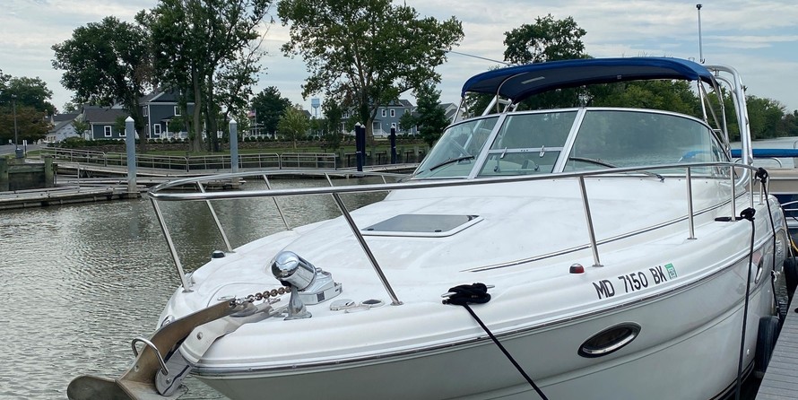 Sea Ray 290 Amberjack