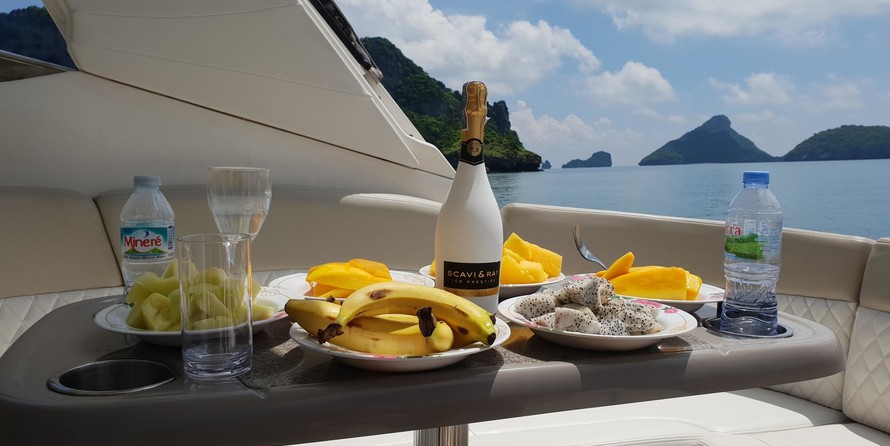 Chaparral 370 Signature Cruiser