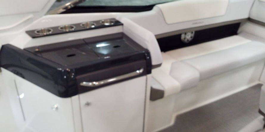 Formula 310 Bowrider