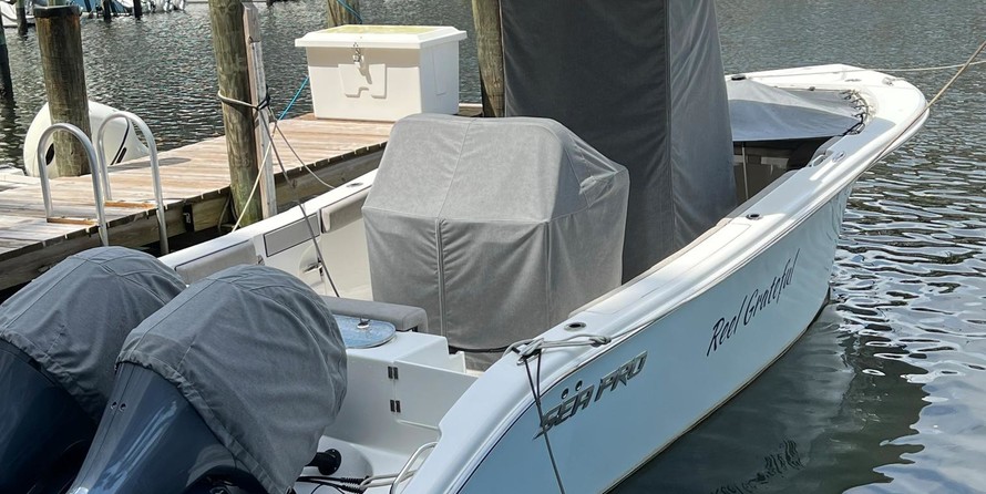 Sea Pro 259 DLX