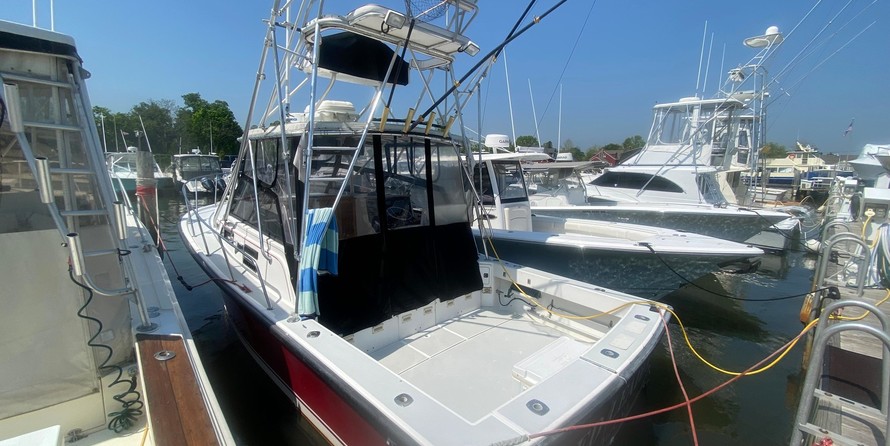 Rampage 31 Sportfisher