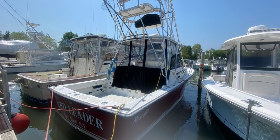 Rampage 31 Sportfisher