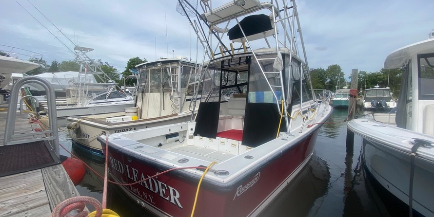 Rampage 31 Sportfisher