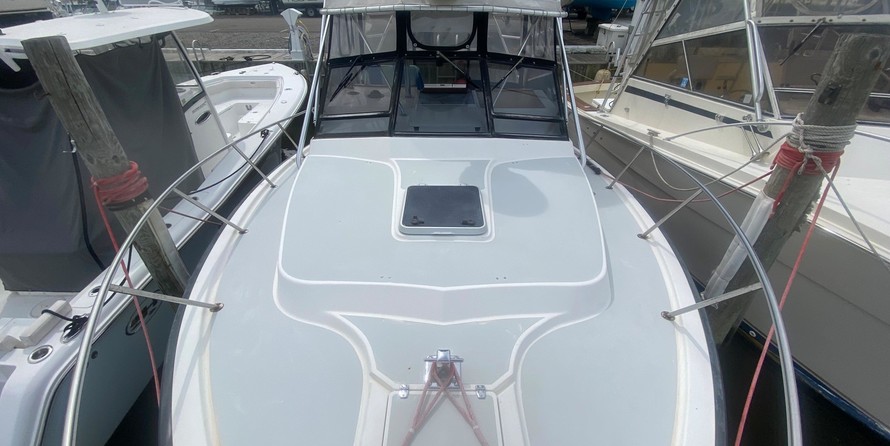 Rampage 31 Sportfisher