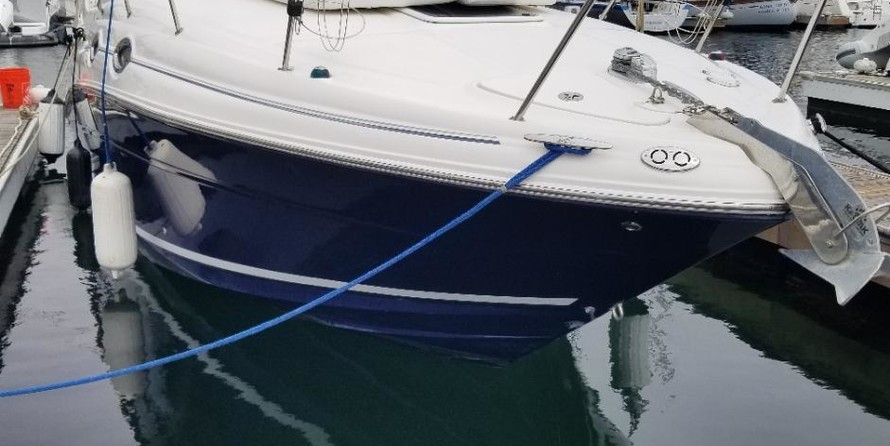 Sea ray 280 sun sport