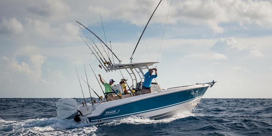 Boston Whaler 230 Outrage