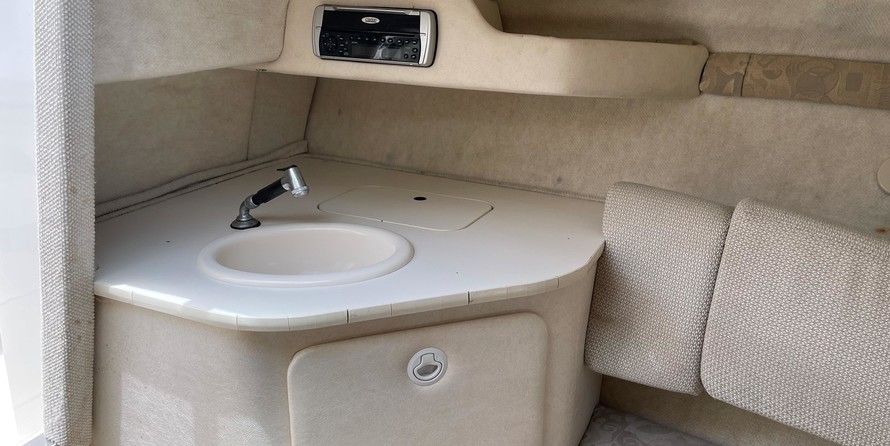 Sea ray 225 weekender