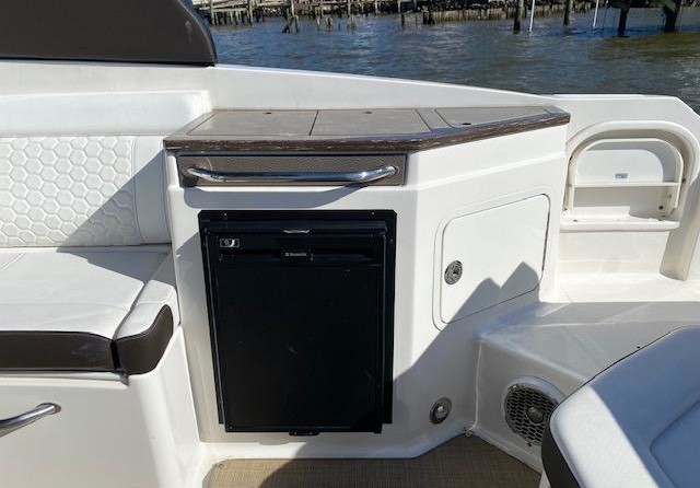 Sea Ray SDX 290 Outboard