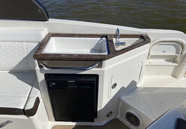 Sea Ray SDX 290 Outboard