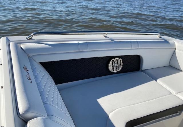 Sea Ray SDX 290 Outboard