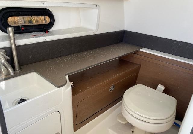 Sea Ray SDX 290 Outboard