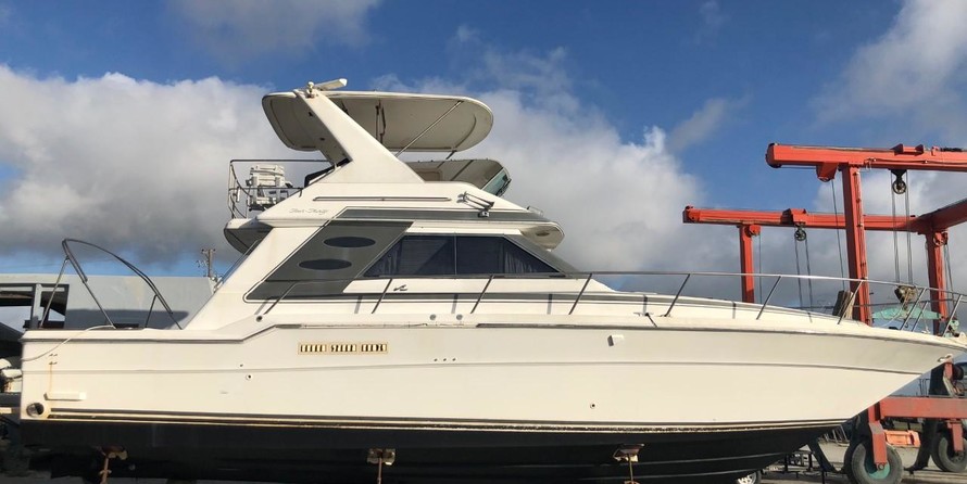 Sea ray 340 sport fish