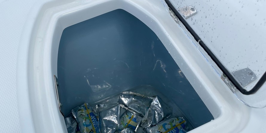 Boston Whaler 315 Conquest