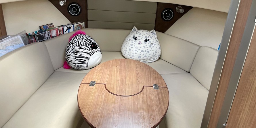 Boston Whaler 315 Conquest